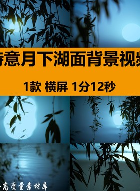 4K诗意月下湖面月上柳梢意境中秋节月亮月光倒影LED背景视频素材