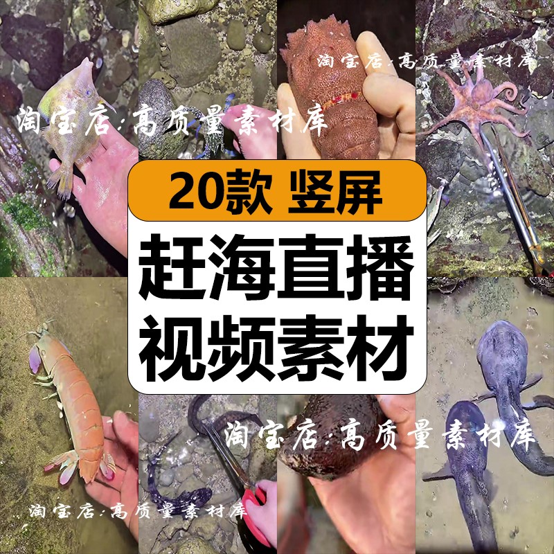 白天夜晚上出海赶海边捉海鲜抓鱼水产品抖音直播带货视频背景素材