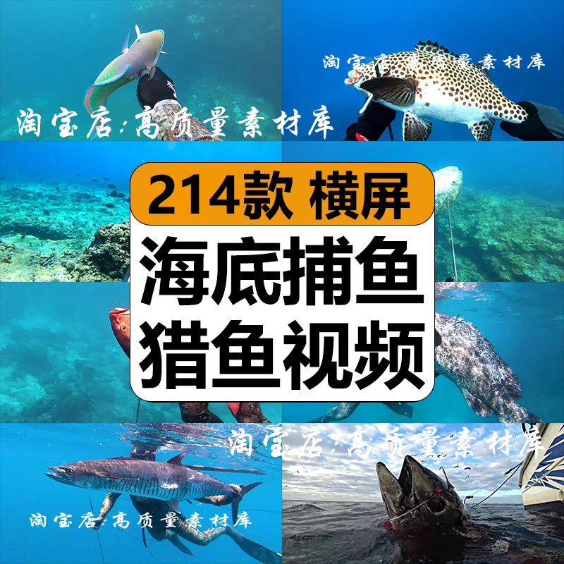 国外海底捕鱼深海猎鱼射鱼冒险趣味解压高清中视频计划解说长素材