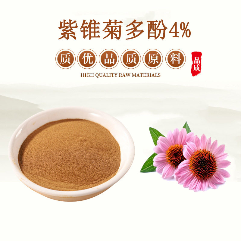 紫锥菊提取物 8%菊苣酸 4%紫椎菊多酚浓缩精华粉 赠送量勺