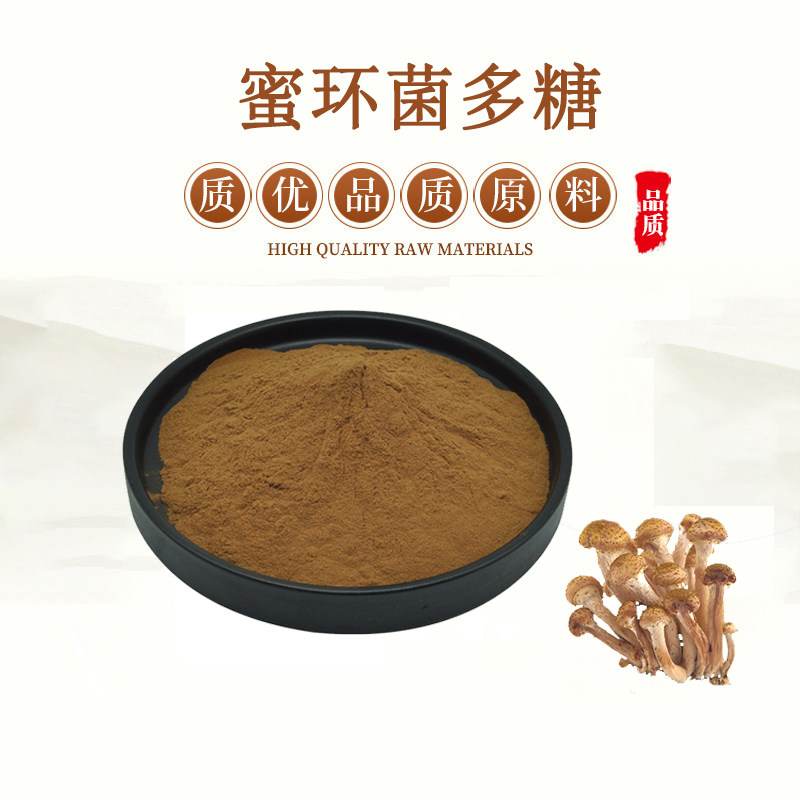 蜜环菌提取物 30% 50% 70%蜜环菌提取物  蜜环菌浓缩粉 送1g量勺