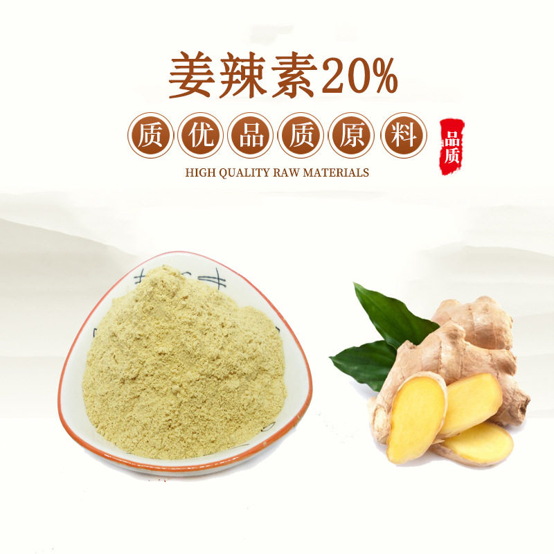 天然姜辣素生姜精华粉生姜提取物