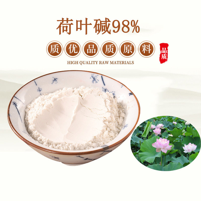 荷叶提取物粉末荷叶碱生物碱水溶