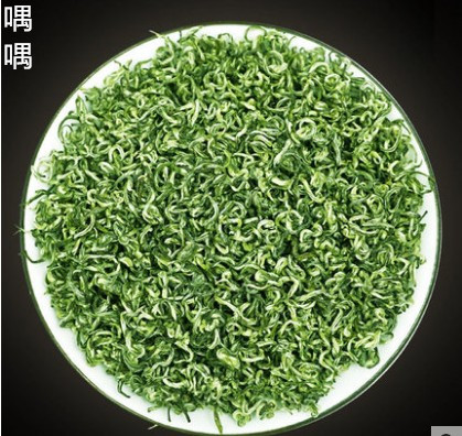 喁喁 贵定云雾茶 鸟王茶 正宗贵州贵定2022新春嫩绿茶叶明前特级