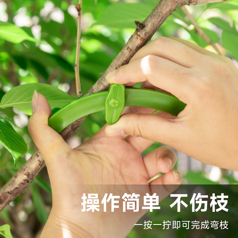 压枝神器植物枝器枝条固定器