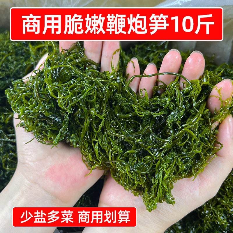 当季新菜 鞭炮笋商用盐渍马尾藻10斤长寿菜海藻火锅海草凉拌食材