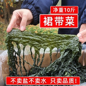 盐渍裙带菜半干货10斤海带嫩苗脆海藻海白菜餐饮商用火锅凉拌食材