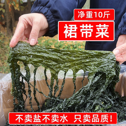 盐渍裙带菜半干货10斤海藻海白菜