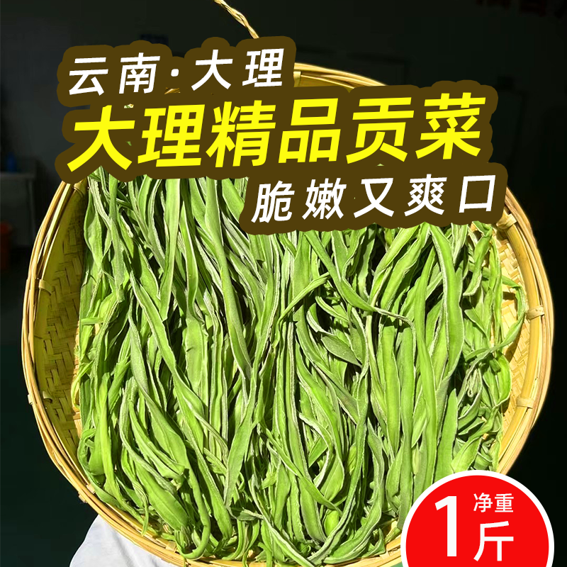 大理特级贡菜干云南特色苔菜响菜
