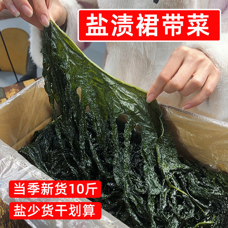 新鲜盐渍裙带菜10斤非纯干货整箱半干裙带叶海带嫩苗火锅商用食材