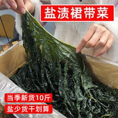 新鲜盐渍裙带菜10斤非纯干货整箱半干裙带叶海带嫩苗火锅商用食材