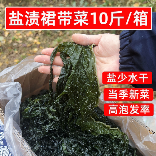 新鲜盐渍裙带菜10斤整箱海带芽非纯干货凉拌麻辣烫火锅店食材商用