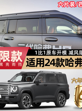 24款哈弗H9晴雨挡哈佛h9二代车窗雨眉专用外观汽车改装配件遮雨板