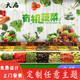 水果店蔬菜超市墙纸创意蔬果图海报背景墙装 饰壁画生鲜区装 修壁纸