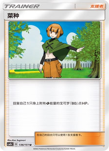 简中 CSM1bC 伊梦卡牌 菜种_U136 宝可梦