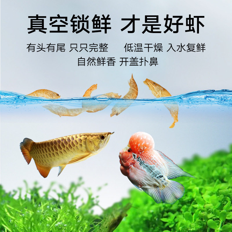 美彩饵料南极磷虾干虾鱼食虾干银观赏鱼饲料