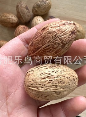 高品质12个一组 鹦鹉啃咬果实解闷磨嘴 天然干果天然材质 可做