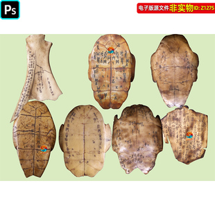 甲骨文龟甲古代文字甲骨卜辞刻辞卜骨考古殷墟甲骨文图片PSD素材