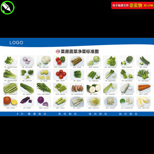 蔬菜净菜标准图4D菜房厨房餐厅饭店酒店厨房制度管理展板CDR素材