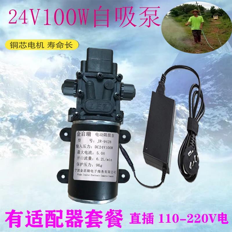 24V小型增压泵100W大功率
