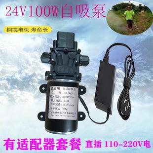 24V小型增压泵100W大功率抽水自吸微型水泵高压农家用直流循环泵