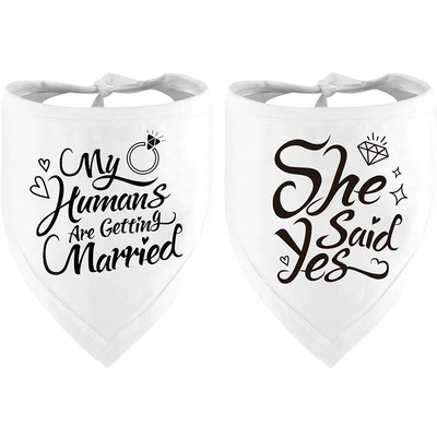 宠物三角巾口水巾狗狗猫结婚围巾she said yes   getting married