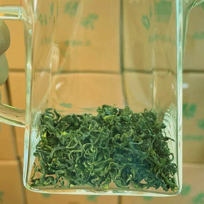 日照绿茶2026年茶叶板栗香浓香一斤500g耐泡炒青茶袋装自家茶园