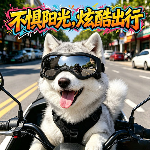 银狐专用狗狗眼镜宠物墨镜小狗护目镜狗防风镜配饰大型犬兜风神器