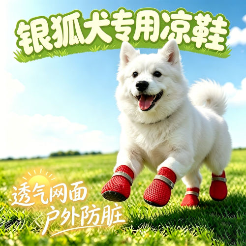 银狐犬幼犬专用狗狗凉鞋小狗鞋子夏透气宠物狗鞋夏季四季款遛弯鞋
