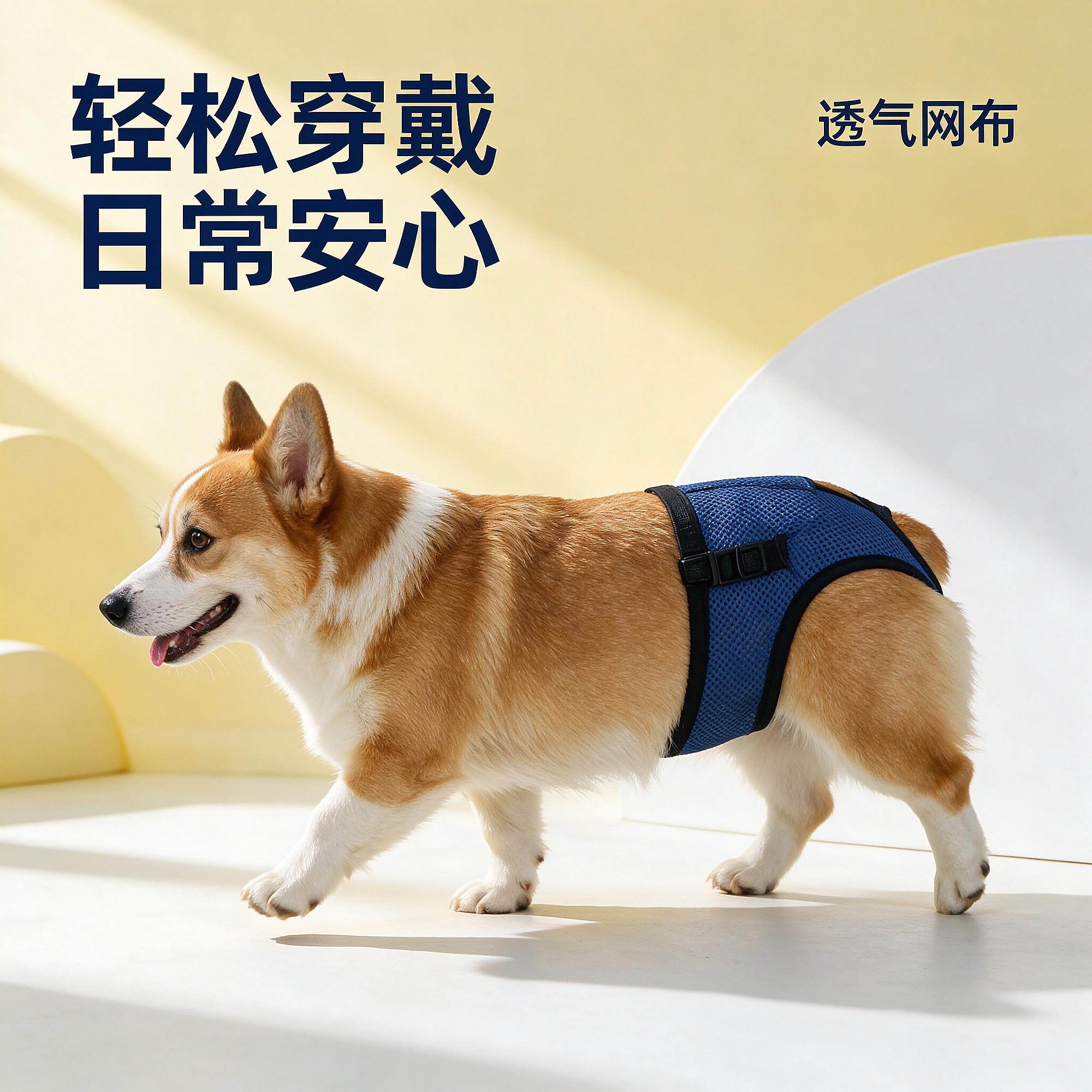 大型犬小型背心护理泰迪比狗狗
