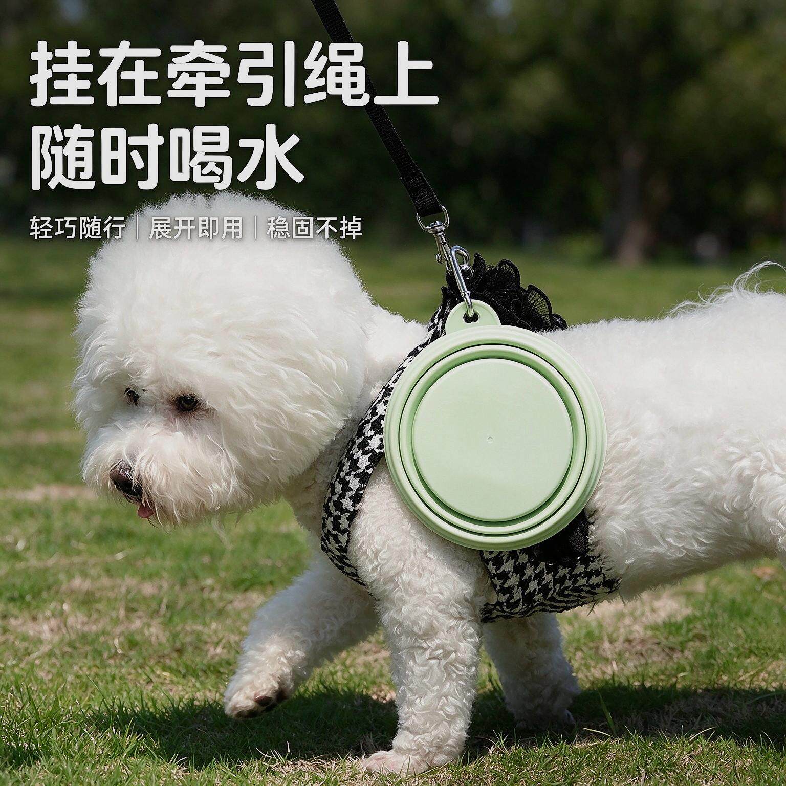 迷你户外宠物外出便携饮水器折