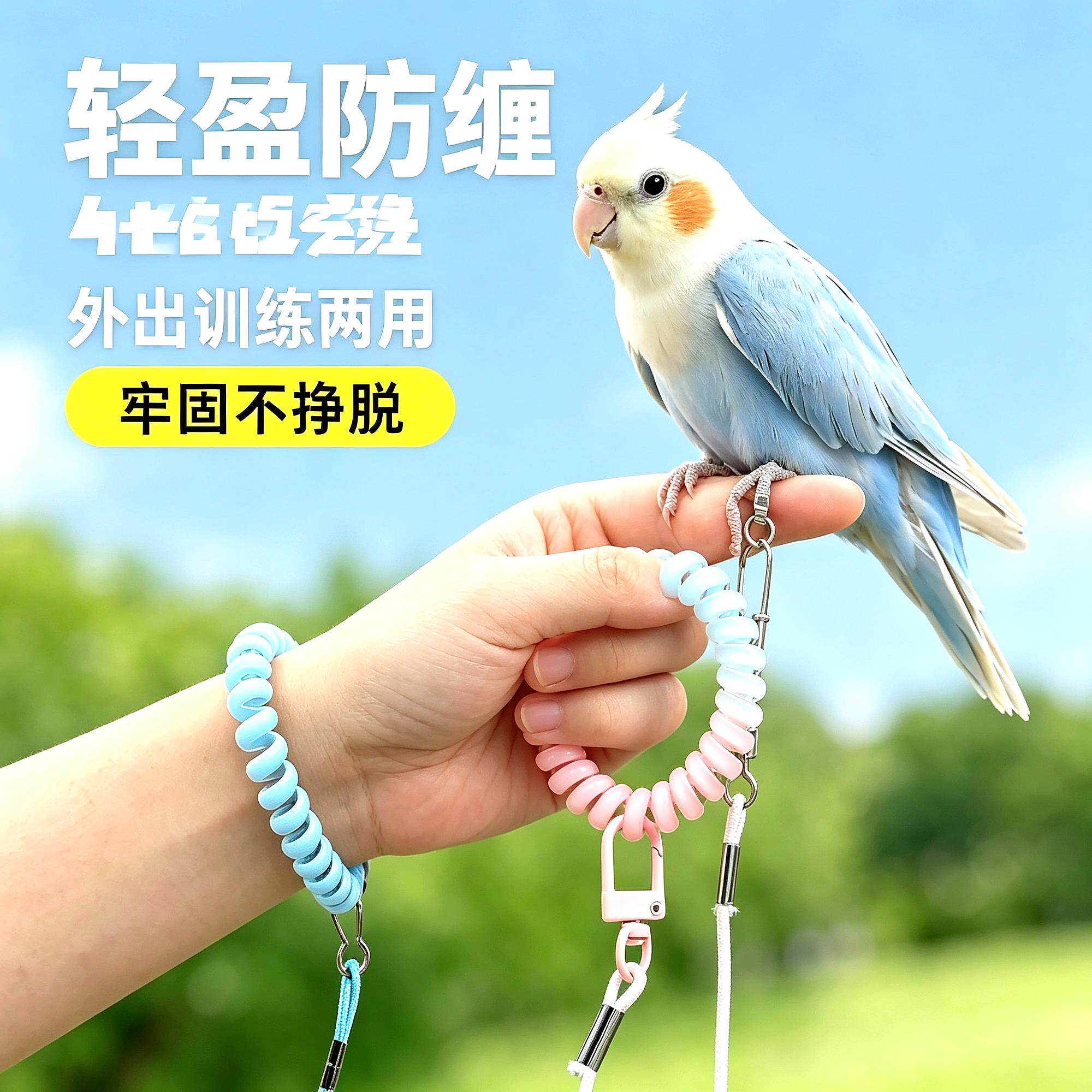 便兜屎兜金太阳小太阳鹦鹉专用