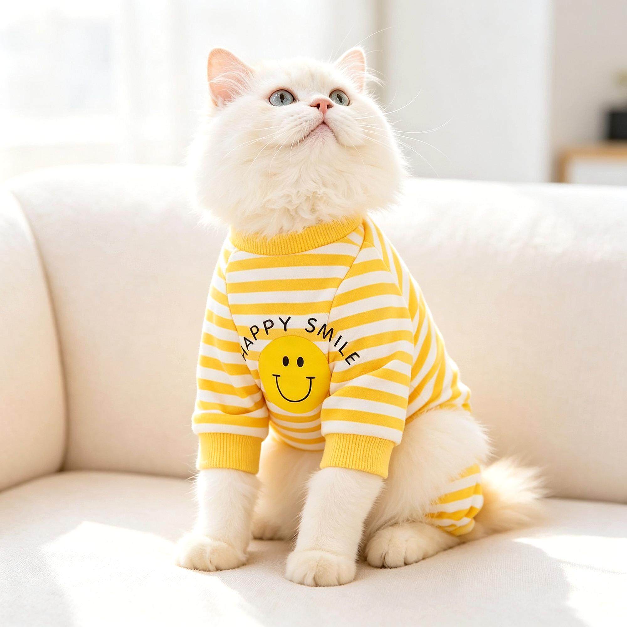 的宝宝民族风宠物猫衣服小猫秋