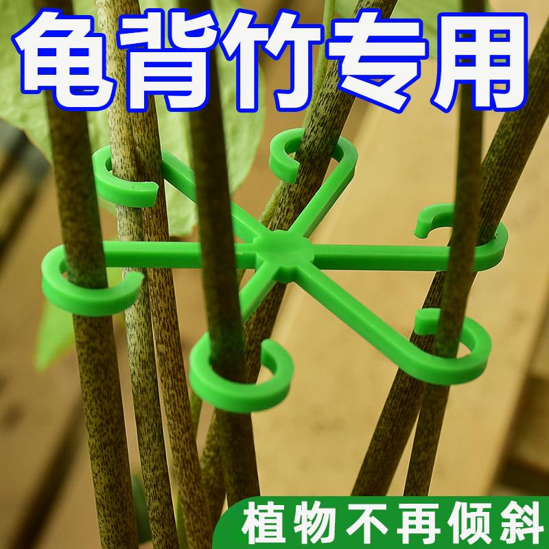龟背竹老桩支撑杆花架亚克力防图片