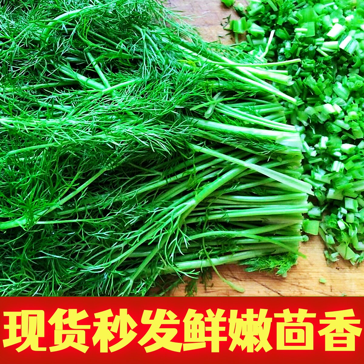 山东茴香菜新鲜不带根鲜嫩小茴香其它