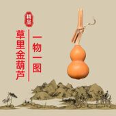 天然精品草里金小葫芦一物一图文玩小葫芦手捻葫芦手把件盘玩爆品