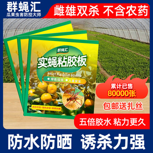 瓜果实蝇粘胶板黄板双面粘虫板诱虫板针蜂贴果蝇诱捕器引诱剂粘板