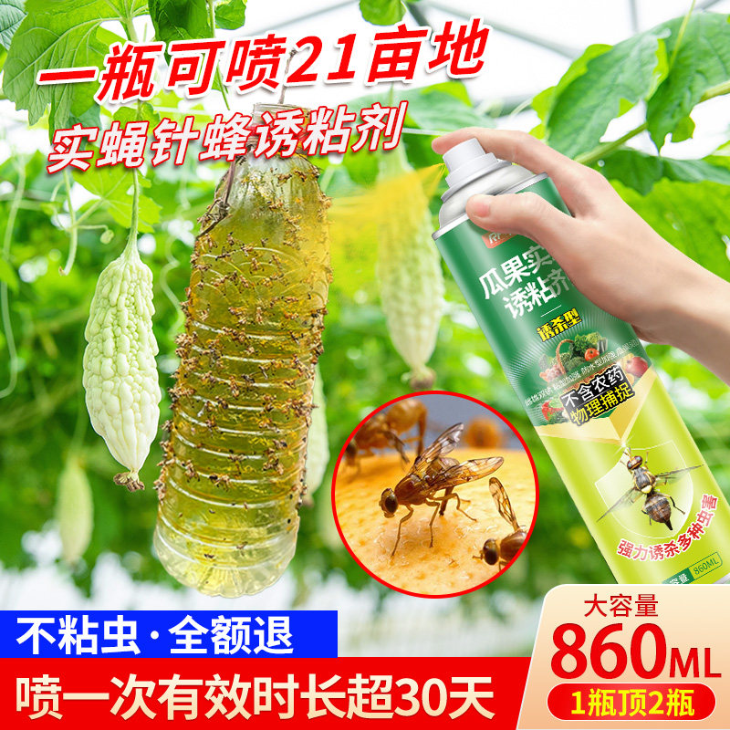 果蝇诱粘剂瓜果实蝇诱捕器大棚果树菜园杀虫剂除虫剂灭针蜂引诱剂