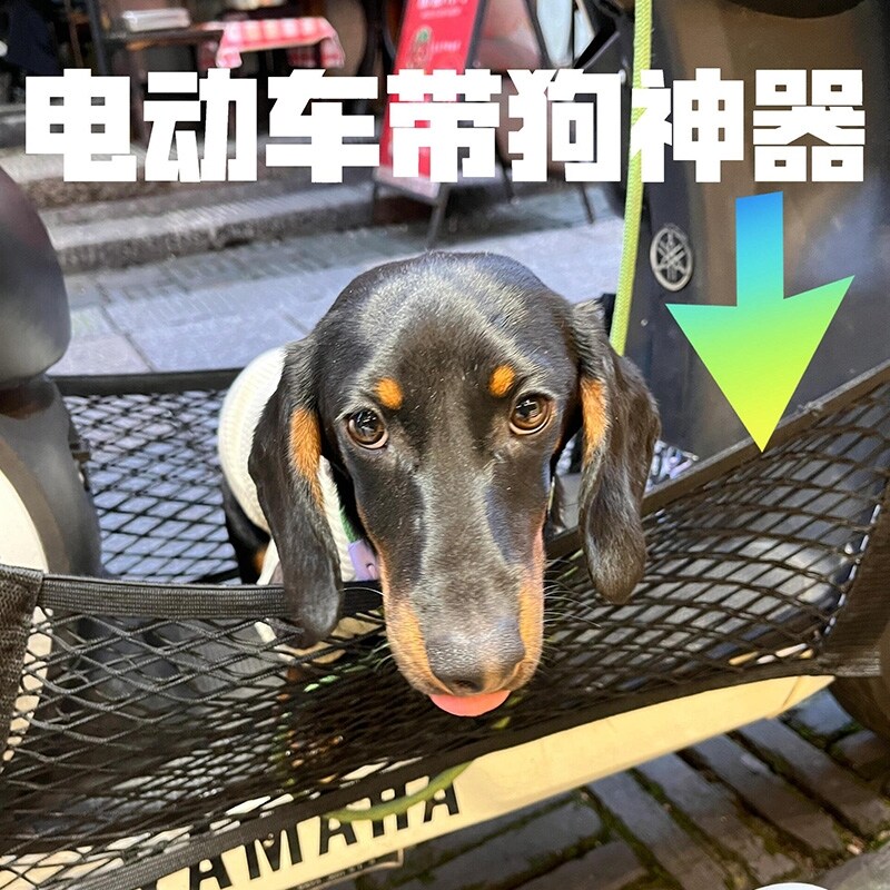 。自行车带狗狗神器电动车外出便携包博美小体宠物泰迪出门遛狗背
