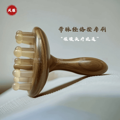 16齿羊角绿檀带脉腿部经络刷木梳