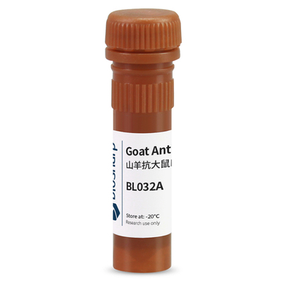 BiosharpFITC标记山羊抗大鼠IgG