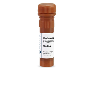 白鲨 Biosharp BL054A 罗丹明标记山羊抗小鼠IgG(H+L)