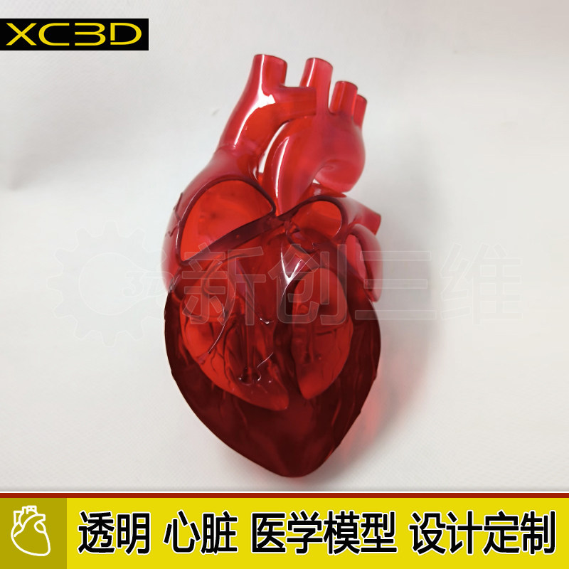 电传导3d打印医学定制心脏病胃透明模型房室间隔缺损动脉导管未闭
