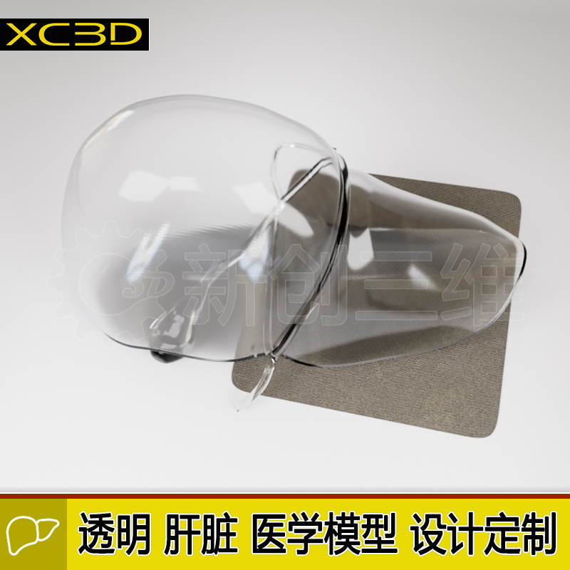 肝脏定制医疗模型3D打印透明树脂水晶心脏手术模型胃医学教学教具
