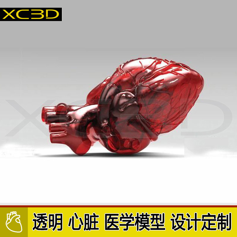 3D打印透明心脏模型医学医疗定制