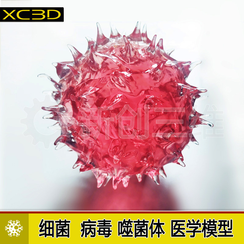 透明细菌病毒手办模型医学医疗定制噬菌体腺3D打印摆件礼物教具