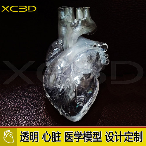 3D打印透明心脏血管模型房颤射频
