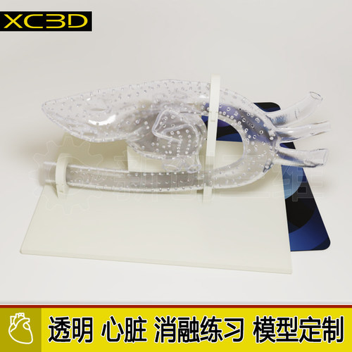 定制透明可拆卸左心房左心耳射频消融术封堵术3D打印心脏手术模型
