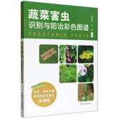 蔬菜害虫识别与防治彩色图谱