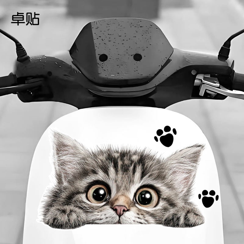 个性偷窥狸花猫电瓶车防水防晒反光装饰贴纸电动车专用贴画图片